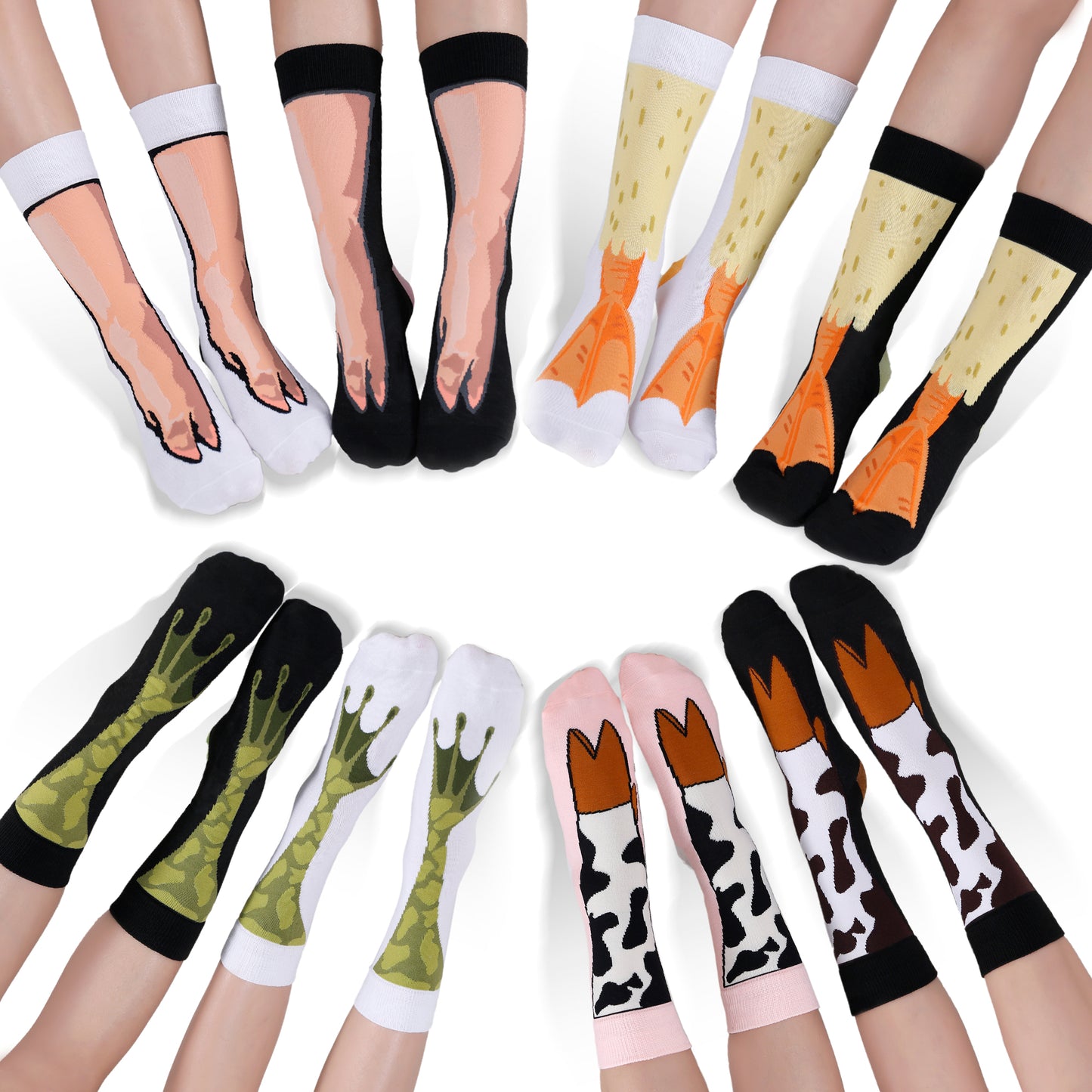 Animal Feet